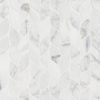 Calacatta Blanco Pattern Polished
