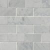 Carrara White 2×4 Polished