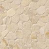 Coastal Sand Pebbles