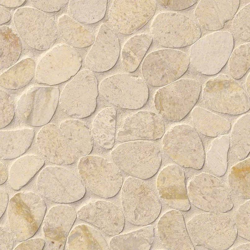 Coastal Sand Pebbles