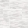 Dymo Wavy White 12×24 Glossy