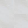 Greecian White Subway Tile 8×12
