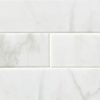 White Carrara Subway Tile 4×16
