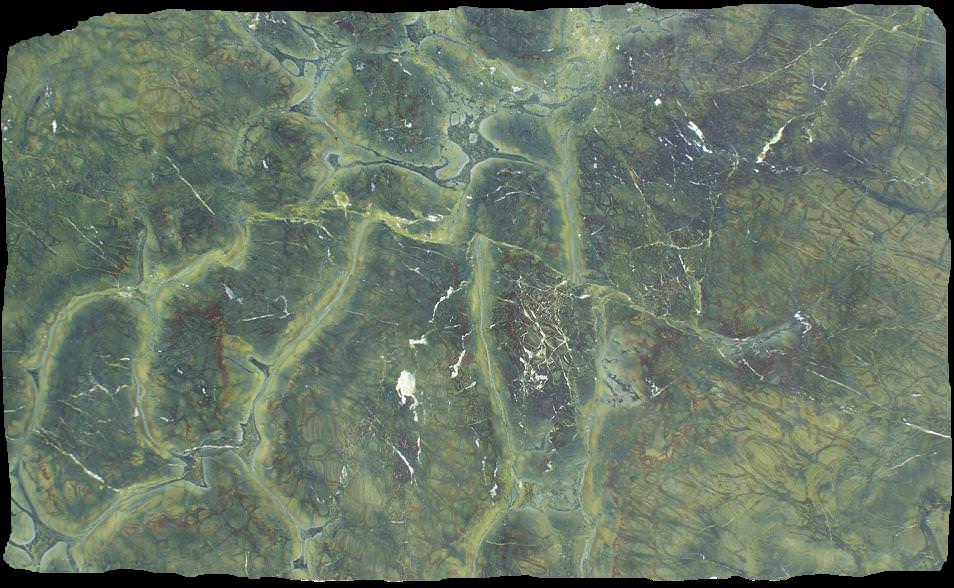Vitoria Regia Quartzite