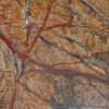 Rainforest Brown Granite