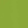 Silestone Green Fun Quartz