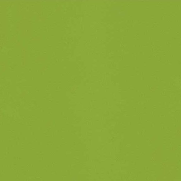 Silestone Green Fun Quartz
