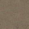 LG Viatera Cocoa Beach Quartz