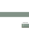 Daltile Color Wave CW16 2x12 Oak Moss
