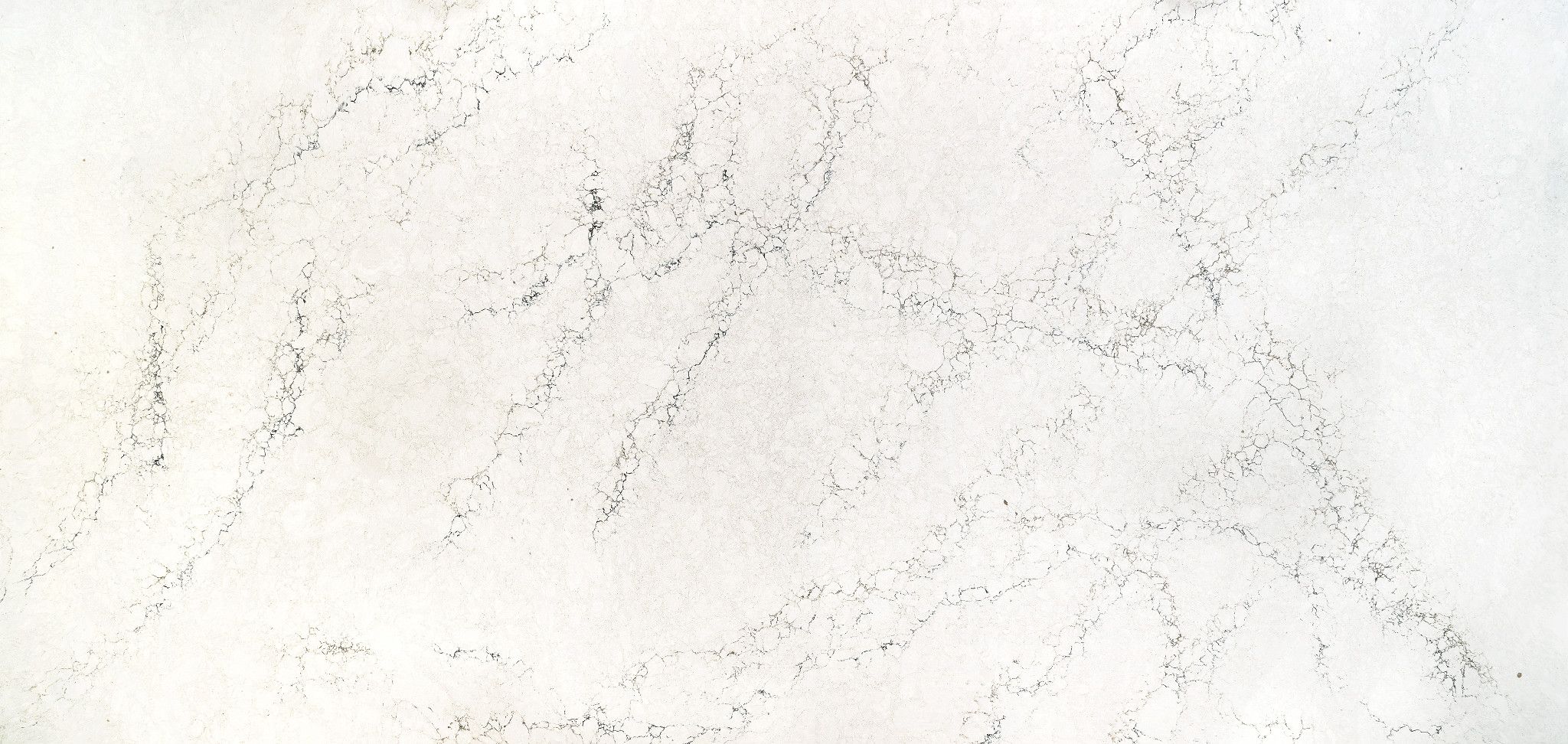 Whitendale Cambria Quartz Full Slab