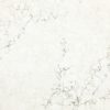 Cambria Quartz Whitendale Home Depot Close Up