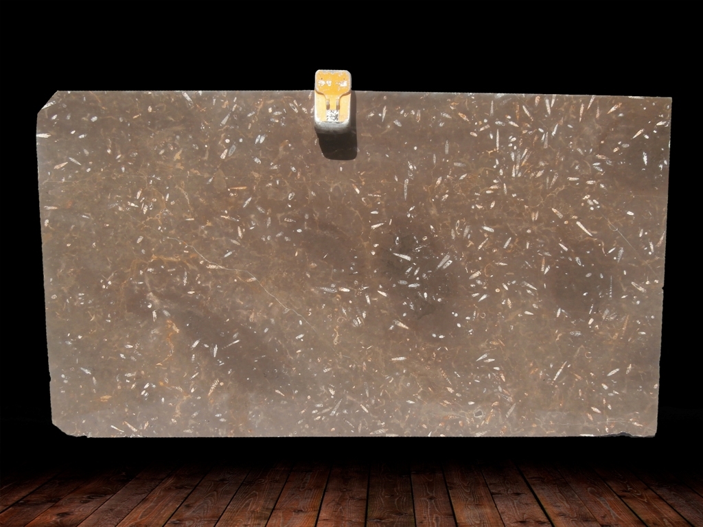 JURASSIC BROWN POLISHED MARBLE