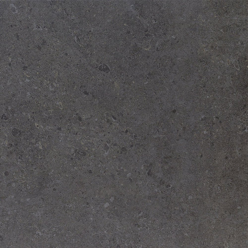 DALTILE DIGNITARY GOVERNOR BLACK DR11-7243