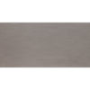 DALTILE FORMULA AXIOM SILVER FM94-7316