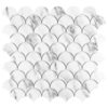 Carrara Fan Anthology Tile Backsplash
