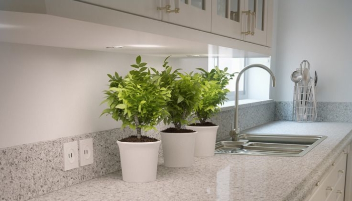 Atlantic Salt Caesarstone Quartz Kitchen Countertops