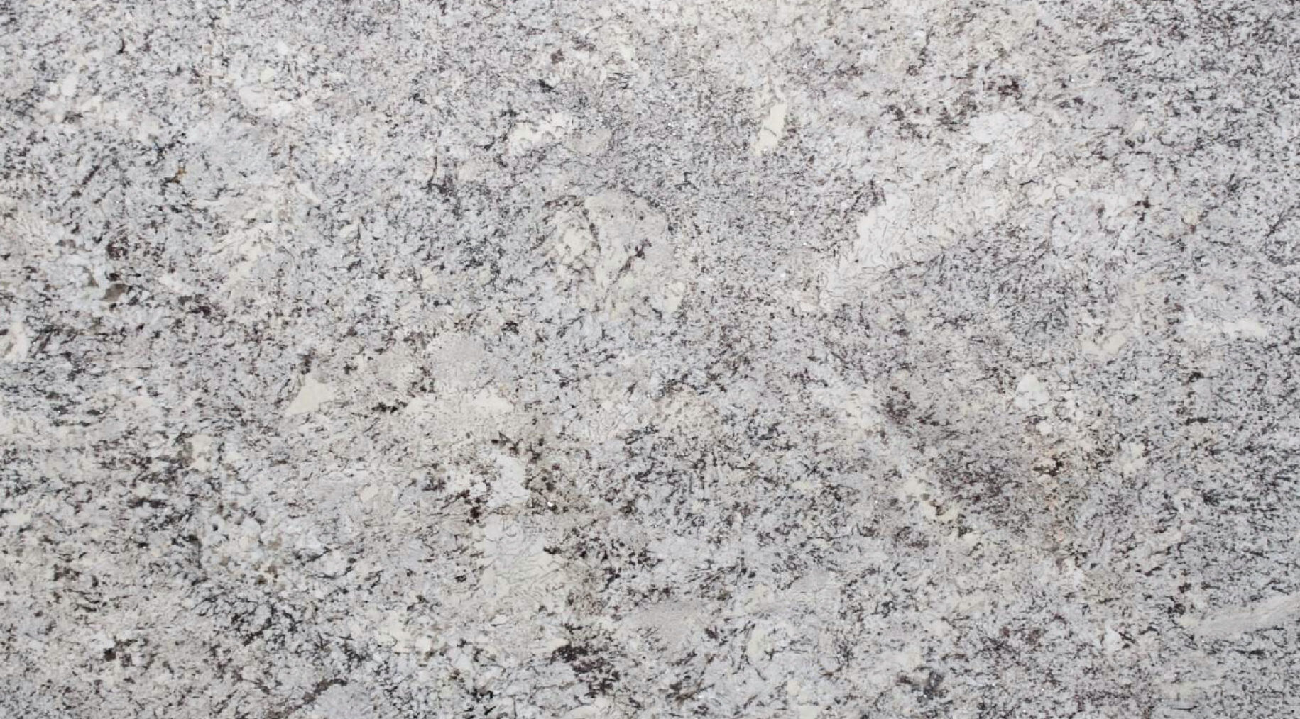 Bianco Torroncino Granite Full Slab