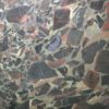 Black Beauty Quartzite