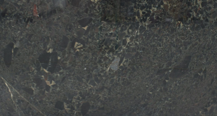 Black Beauty Quartzite Full Slab