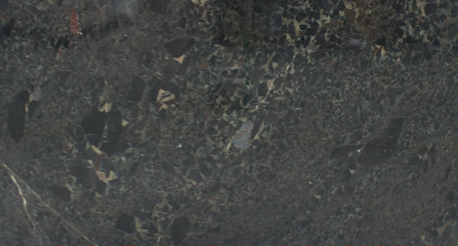 Black Beauty Quartzite Full Slab