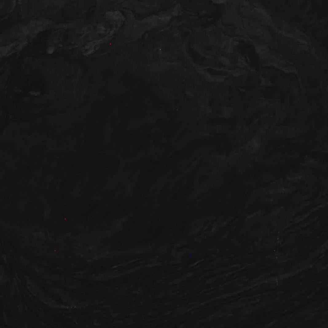 Brilliant Black Quartzite