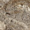 Chocolate River Granite
