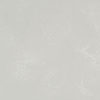 Cloudburst Concrete Caesarstone Quartz