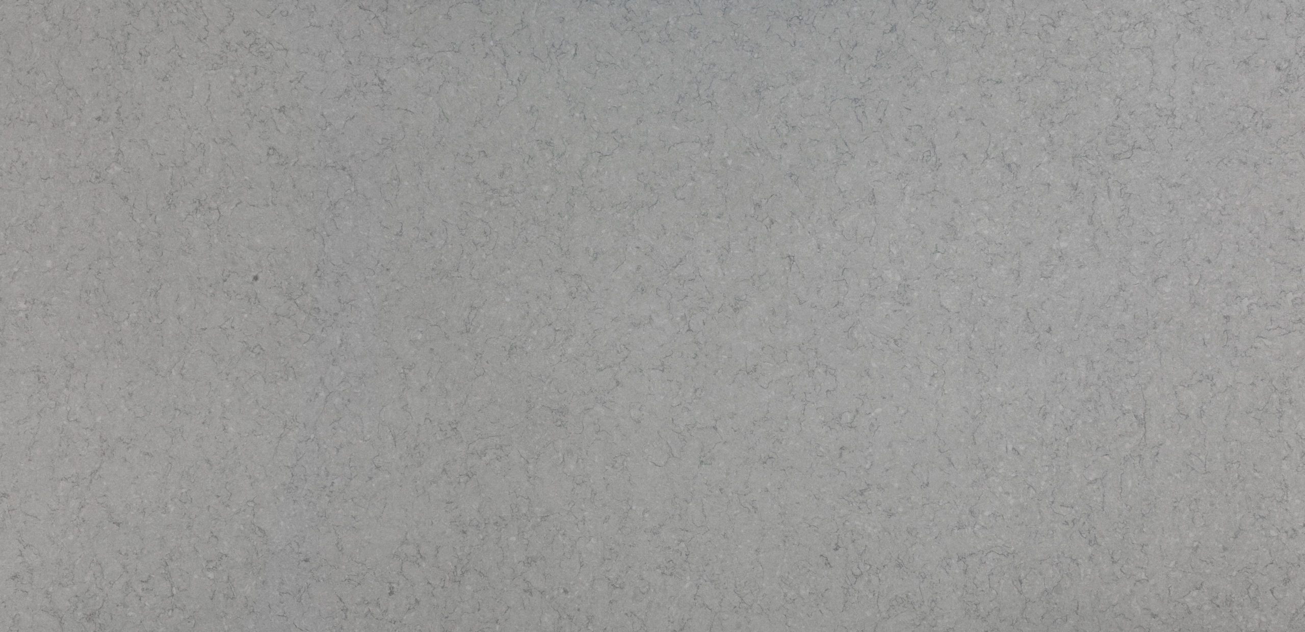Cygnus Silestone Quartz Full Slab