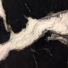 Dalmata Granite