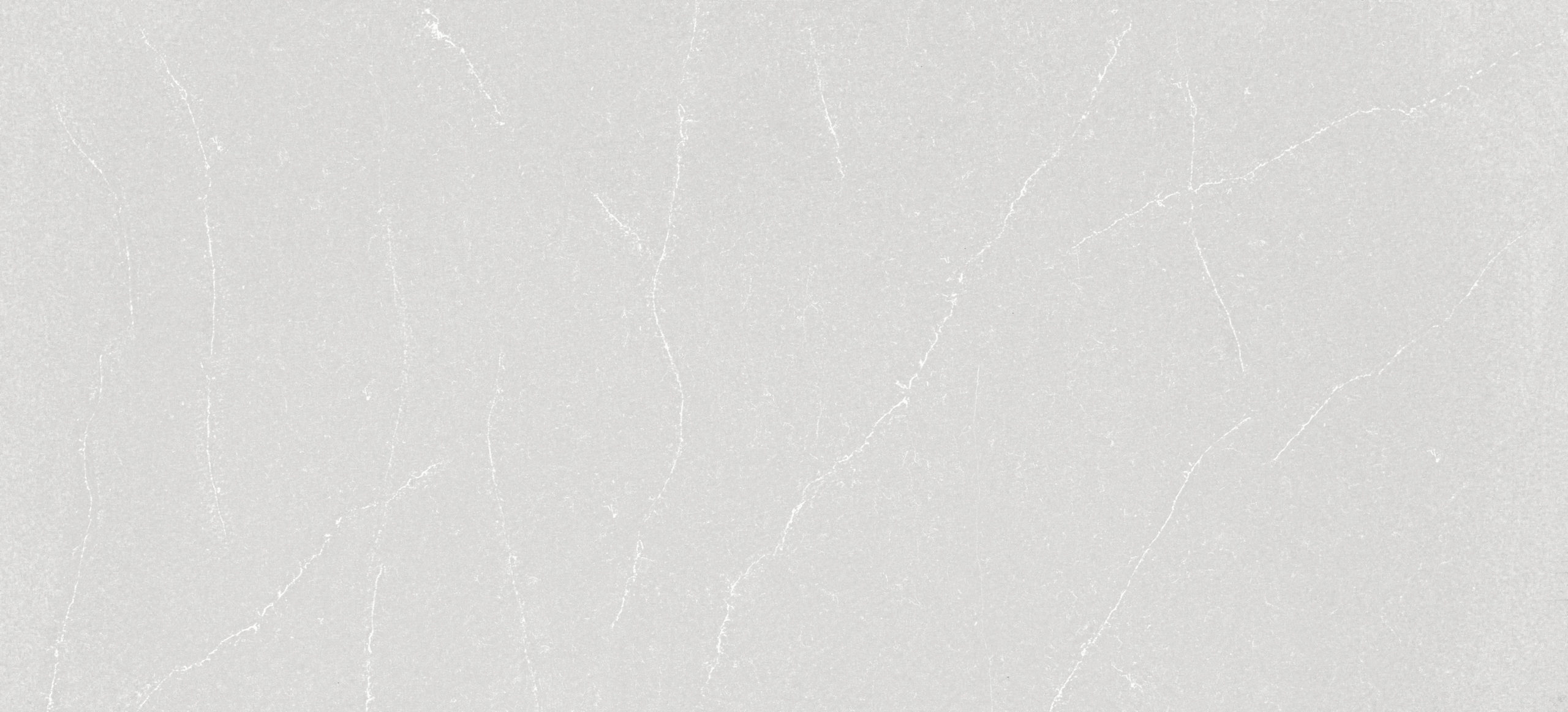 Desert Silver Silestone Quartz Full Slab