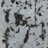 Everest White Granite