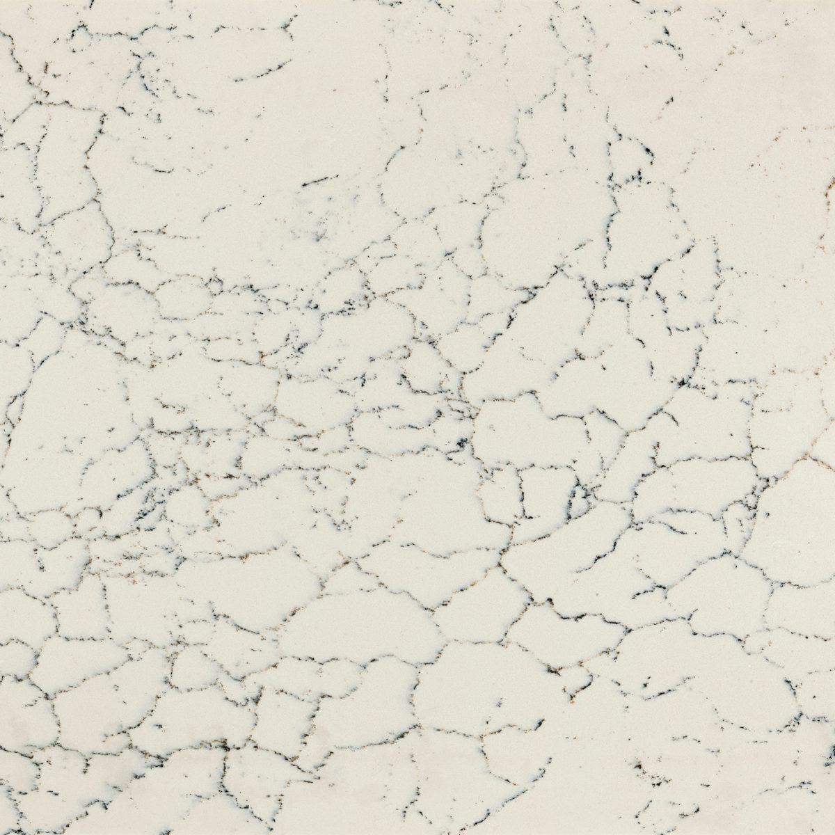 Falconwood Cambria Quartz : Home Depot