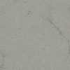 Gray Forest LG Viatera Quartz
