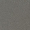 Gris Expo Silestone Quartz