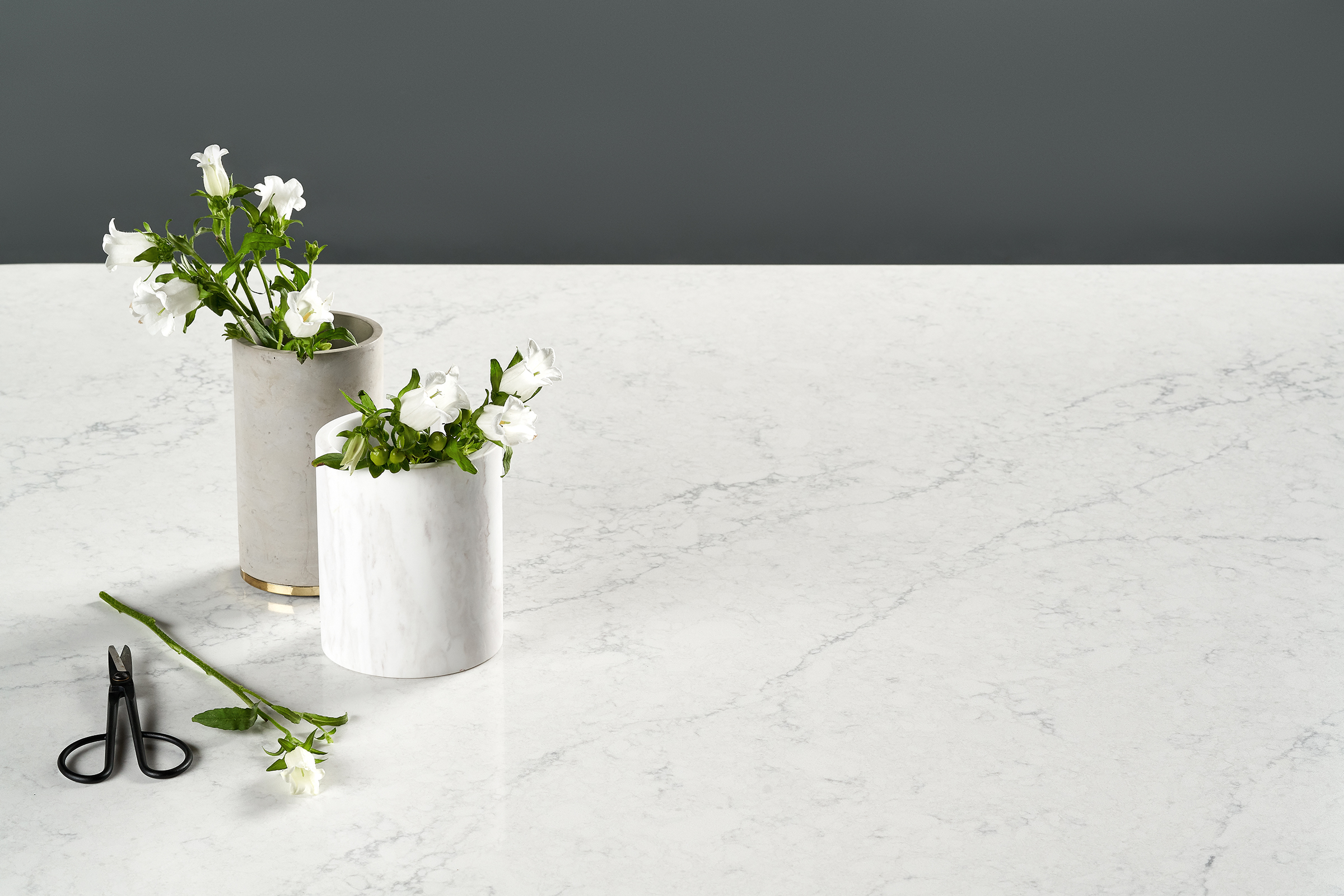Karis LG Viatera Quartz Countertops