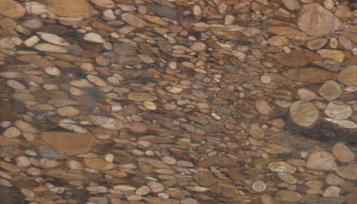 Marinace Quartzite Full Slab