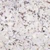 Mystic Spring Granite