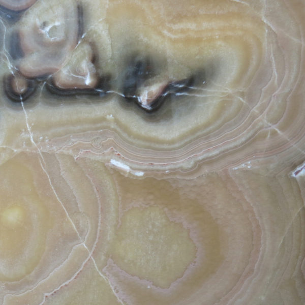 Onyx Brown