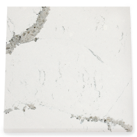 Cambria Queensbury Quartz Countertop Design 3D