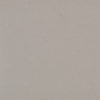 Raw Concrete Caesarstone Quartz