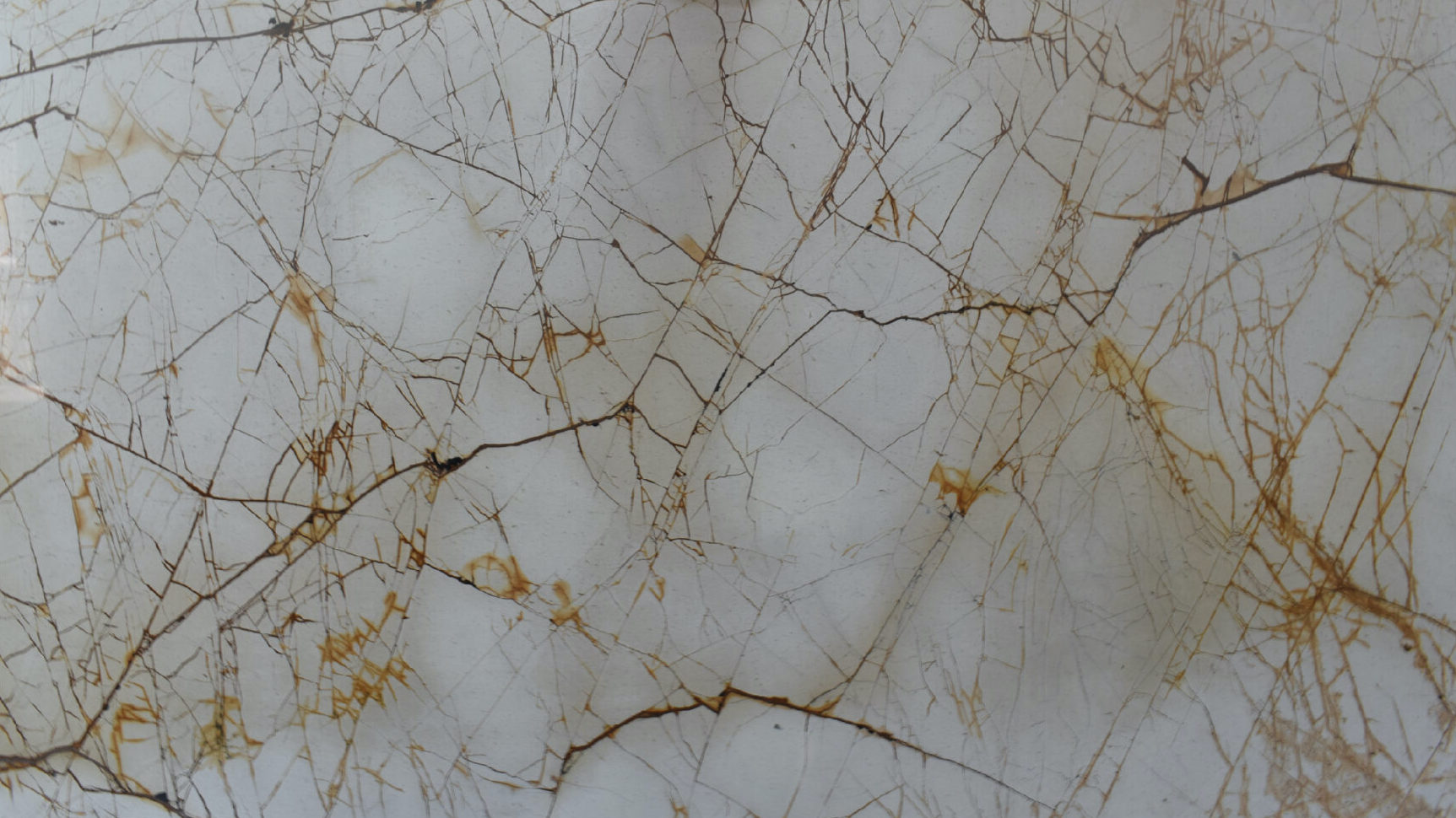 Roma Imperiale Quartzite Full Slab