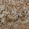 Supreme Gold Granite