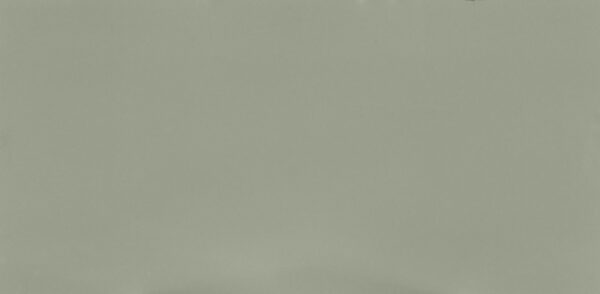 Posidonia Green Silestone Quartz Slab View